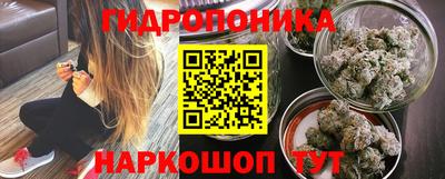 мет Можга