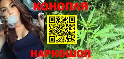 мет Можга